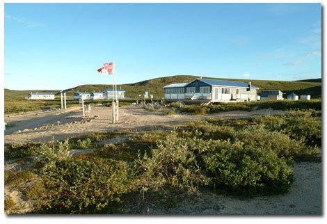Peterson'S Point Lake Lodge 耶洛奈夫 外观 照片